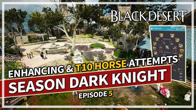 Enhancing & Tier 10 Horse Attempts | Episode 5 Season Dark Knight | Black Desert