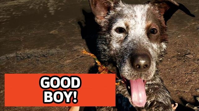 Boomer Is A Good Boy - 4K Dog Far Cry 5 Gameplay