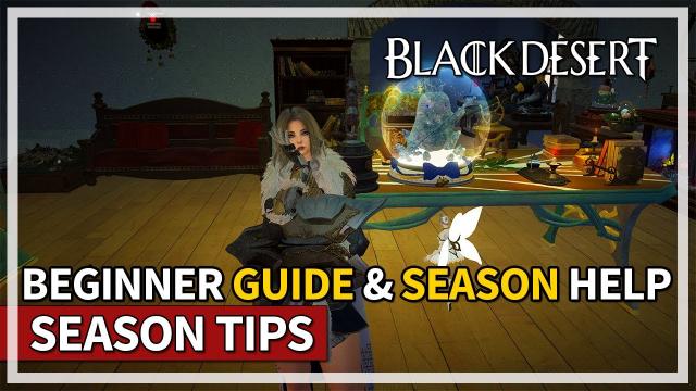 Beginner Summer Season Progression Tips & Guide | Black Desert