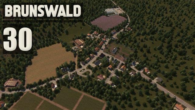 Small Town - Cities Skylines: Brunswald - 30