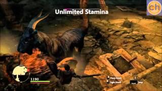 Dragon's Dogma: Dark Arisen Trainer