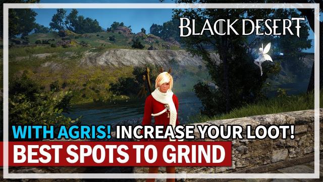 My Favorite & Best Grind Spots WITH AGRIS in 2022 | Black Desert