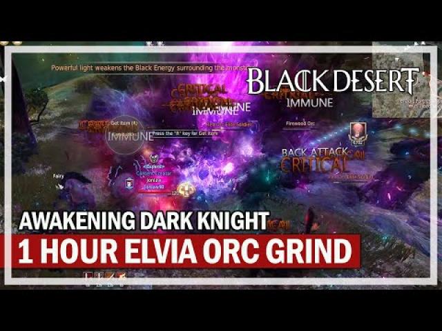 1 Hour Elvia Orc Grind 19,000 Loot (No Agris) - Awakening Dark Knight | Black Desert