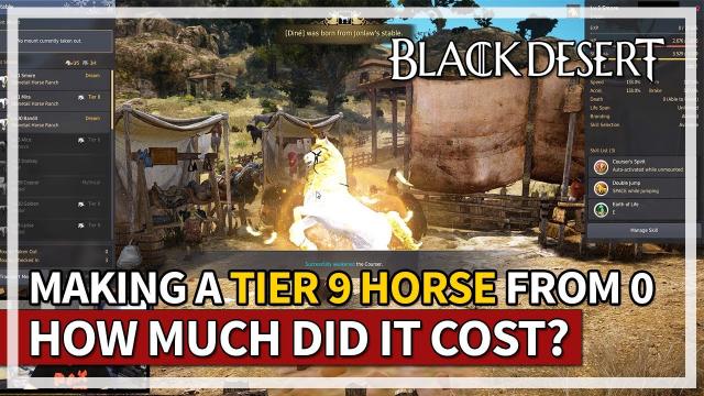 Making a Tier 9 Horse... But At What Cost? | Black Desert