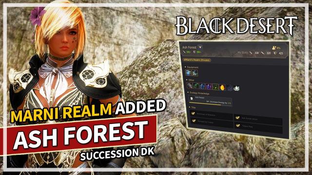 Ash Forest Grind - Succession Dark Knight | 300 AP 390 DP Zone | Black Desert