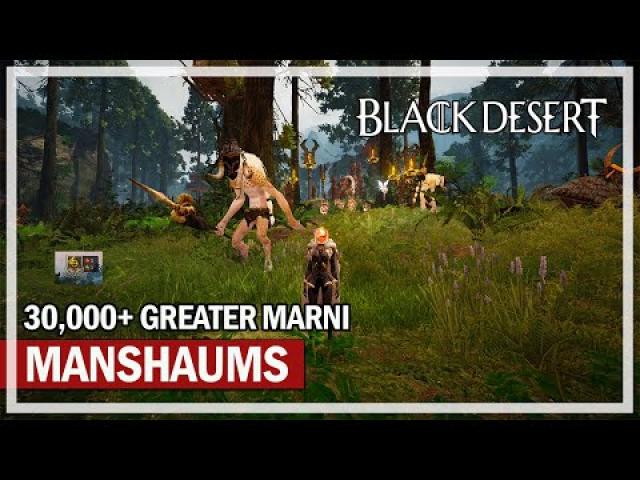 1 Hour Chill Manshaum Grind - 30,000 Kills Greater Marni Stone | Black Desert