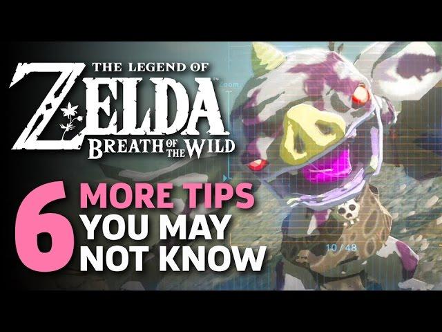 6 More Amazing Things I Wish I Knew In Zelda: Breath Of The Wild