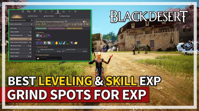 Best Grind Spots for Fast Leveling and Skill EXP | Black Desert