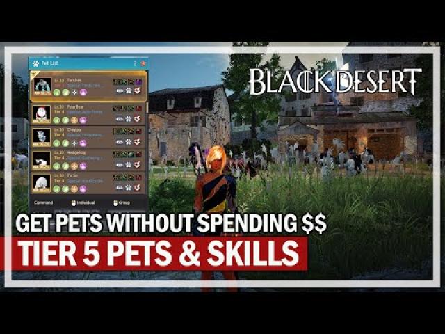 MY TIER 5 PETS & SKILLS INFORMATION GUIDE | Black Desert