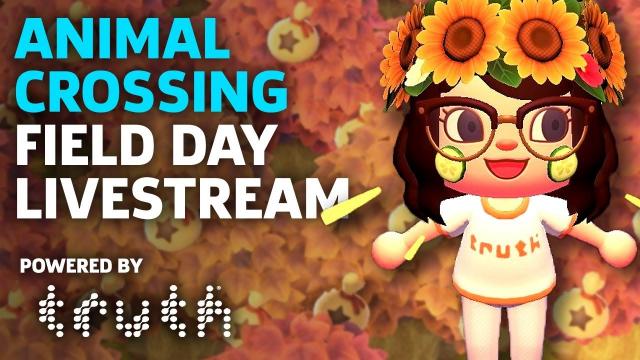 Animal Crossing Field Day To Combat Stress With Persia