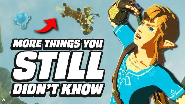 27 MORE Things You STILL Didn't Know In Zelda Breath Of The Wild