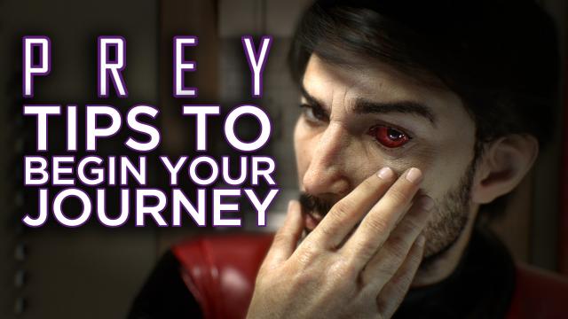 Things I Wish I Knew Before Starting Prey