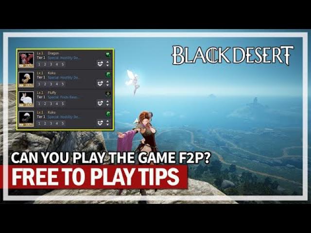 Can You Play BDO F2P? & Tips for Free to Play Players | Black Desert