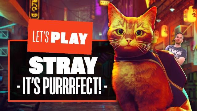 Let's Play Stray - YOU'VE GOT TO BE KITTEN ME! Stray PS5 Gameplay