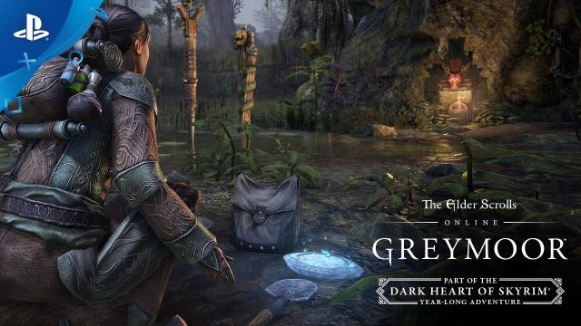The Elder Scrolls Online: Greymoor – Adventures in Antiquities | PS4