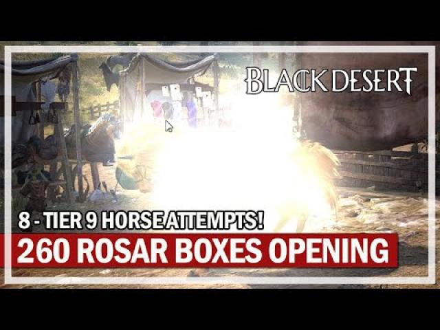 8 Tier 9 Horse Attempts & 260 Rosar Box Opening | Black Desert