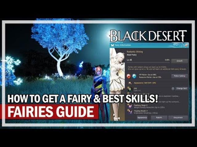 FAIRY GUIDE - HOW TO GET ONE & BEST SKILLS | Black Desert