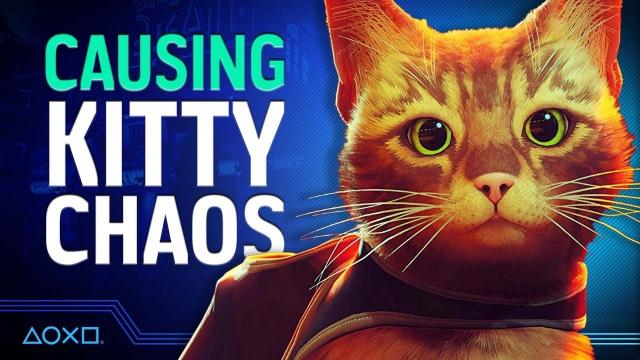 Stray on PS5 - How Much Kitty Chaos Can We Cause?