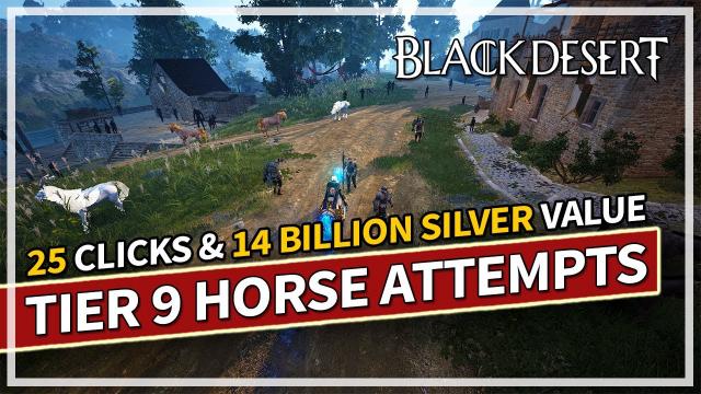 25 Tier 9 Horse Attempts... Can we get it? | Black Desert