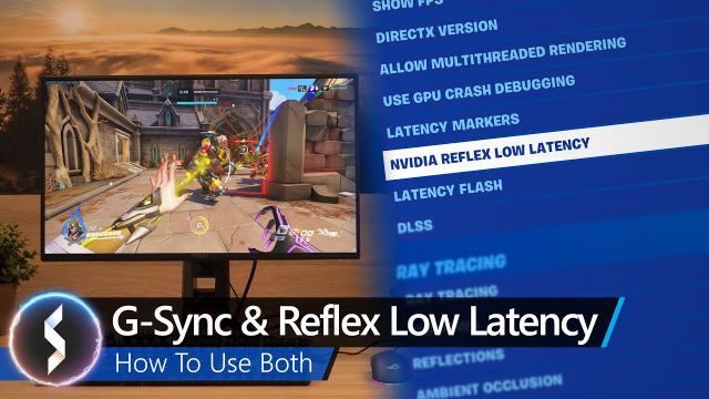 G-Sync & Reflex Low Latency - How To Use Both