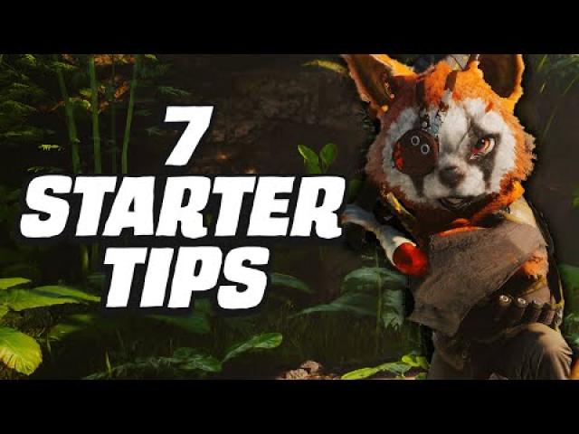 7 Things To Get You Started In Biomutant