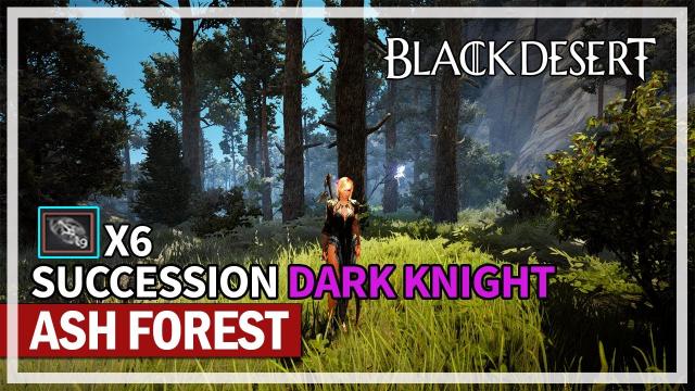 Ash Forest Grind - Is it Worth it? Succession Dark Knight | Black Desert