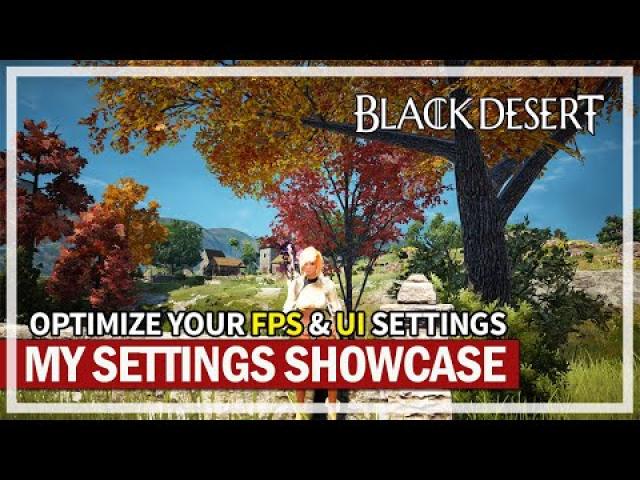 All My Game Settings & UI Optimization | Black Desert