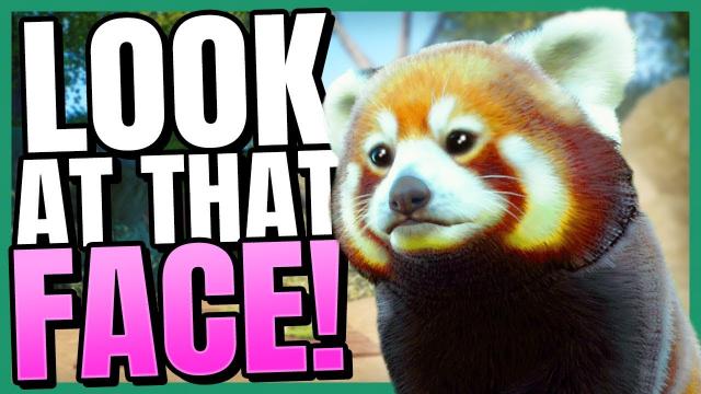 Red Pandas are ADORABLE! | Planet Zoo (Part 1)