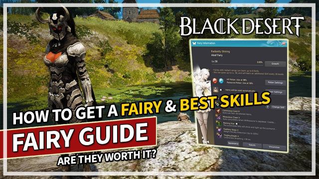 How To Get a Fairy & Best Skills For You | Black Desert