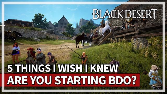 5 Beginner Things I Wish I Knew Starting in Black Desert