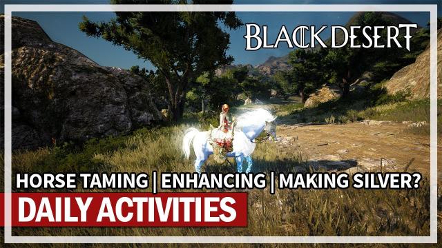 Daily Activities in BDO & Horse Taming & Enhancing | Black Desert