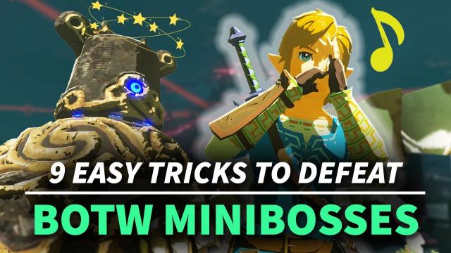 9 Easy Tricks To Defeat BOTW Minibosses