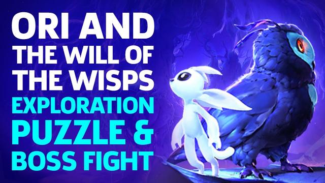 Ori And The Will Of The Wisps Boss And Exploration Gameplay