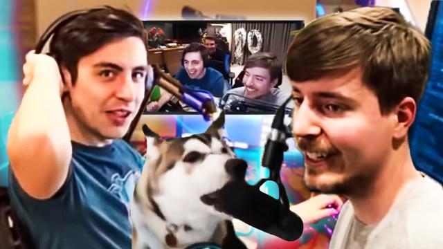 5 Times Shroud Was Too Wholesome