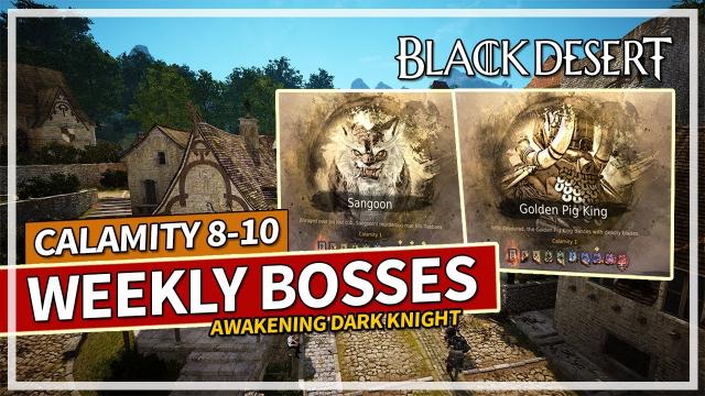 Weekly Sangoon & Golden Pig King Calamity 8-10 Awakening Dark Knight | Black Desert