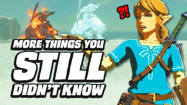 33 MORE Things You STILL Didn't Know In Zelda Breath Of The Wild