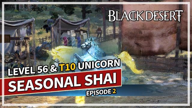 Level 56 & Tier 10 Unicorn - Episode 2 | Shai Season | Black Desert