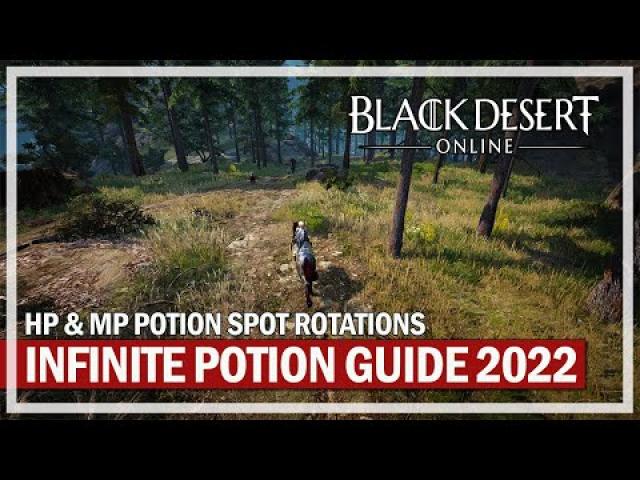Black Desert Online - 2022 HP & MP Infinite Potions Grind Rotations Guide