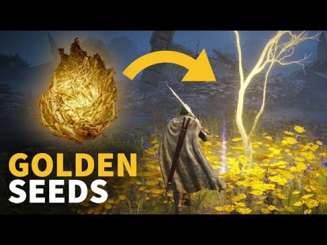 Elden Ring 25 Golden Seeds (We found so far) Guide