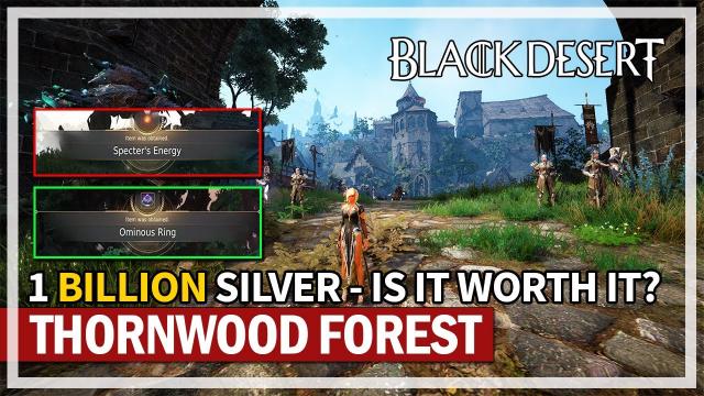 Is Thornwood Forest Worth It? | 1 Billion Silver Marni Realm | Black Desert