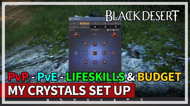 My Crystals Set Up for PvP / PvE / Lifeskills & Budget Options | Black Desert