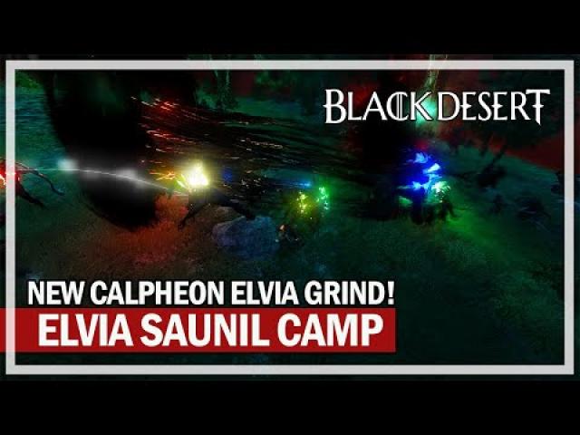 NEW Elvia Saunil Camp First Time 13K Loot - Succession Dark Knight | Black Desert