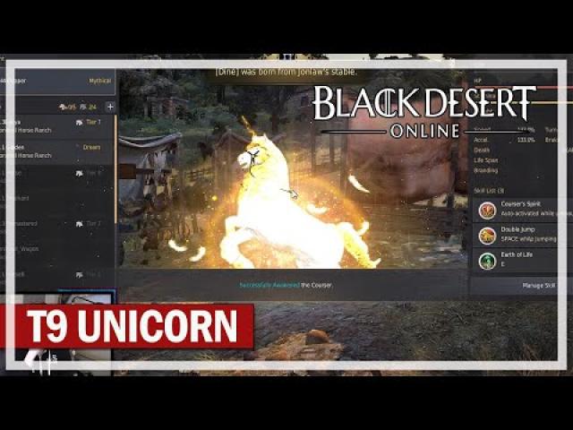 T9 Horse Attempts - Black Desert Gameplay - Episode 1013
