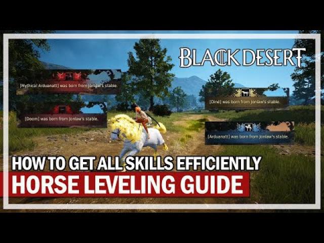 How to Level Horses Fast & Get All Skills Efficiently | Black Desert