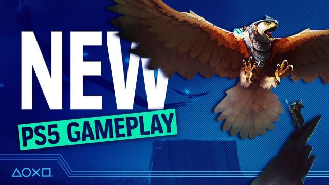 The Falconeer Exclusive PS5 Gameplay - 5 Things You Need To Know