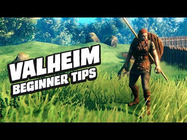 The Valheim Viking Guide For Beginners