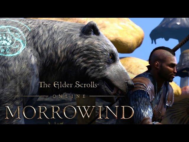 The Elder Scrolls Online: Morrowind – Warden Gameplay Trailer