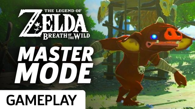 Zelda: Breath Of The Wild - Master Mode Fighting to Survive Gameplay