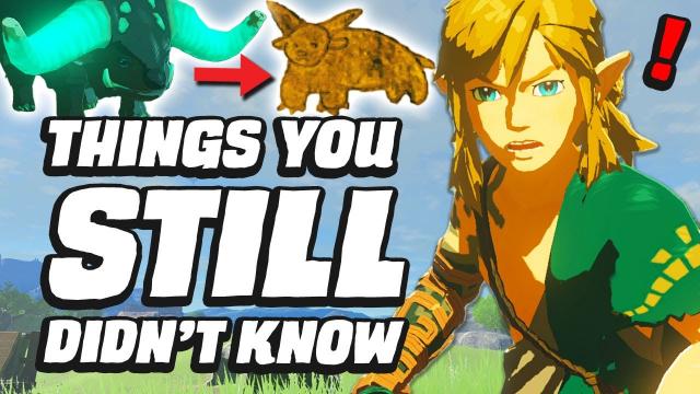 33 MORE Things You STILL Didn't Know In Zelda Tears Of The Kingdom