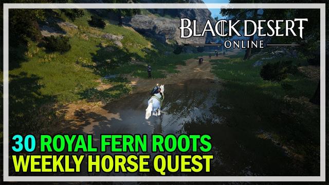 Black Desert Online - Weekly Horse Quest - 30 Royal Fern Roots